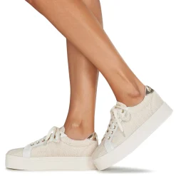 No Name - PLATO M BRIDGE