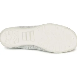 Palladium - GRACIEUSE ALX