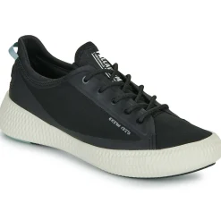 Palladium - PALLANOVA CVS