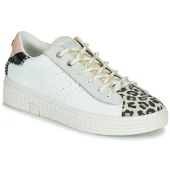 Palladium - pallatempo 02 cvs