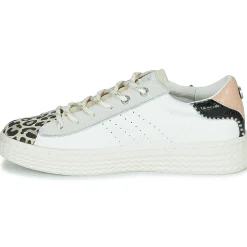 Palladium - pallatempo 02 cvs