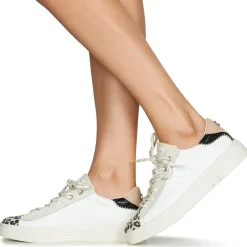 Palladium - pallatempo 02 cvs