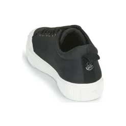 Palladium - STUDIO 02