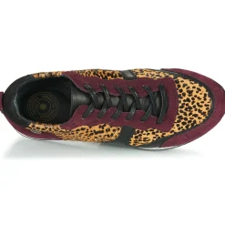 Pataugas - IDOL/I F4E