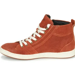 Pataugas - JULIA/CR F4F