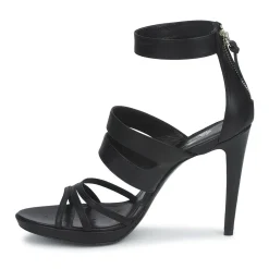 Paul & Joe - STARGATE