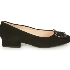 Peter Kaiser - ZWONIZ