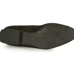 Peter Kaiser - ZWONIZ