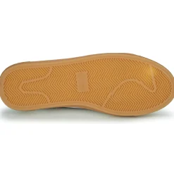 Philippe Morvan - HUSKY