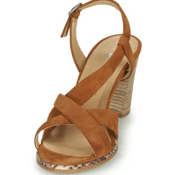 Philippe Morvan - JUDE