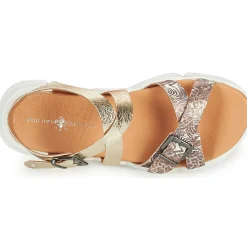 Philippe Morvan - KAKI V1