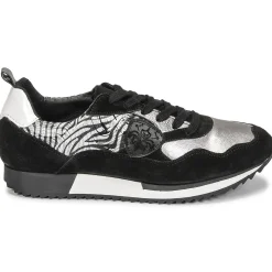 Philippe Morvan - ROX