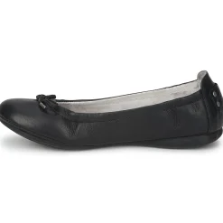 PLDM by Palladium - MOMBASA CASH