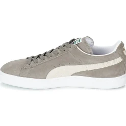 Puma - SUEDE CLASSIC +