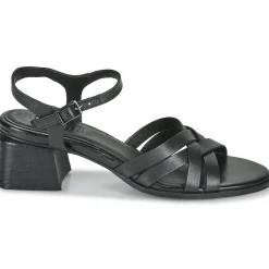 Regard - ET.EPI CRUST BLACK 2203