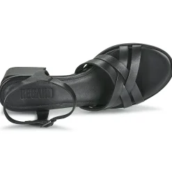 Regard - ET.EPI CRUST BLACK 2203