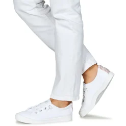 Roxy - BAYSHORE PLUS