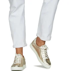 Schmoove - SPARK CLAY