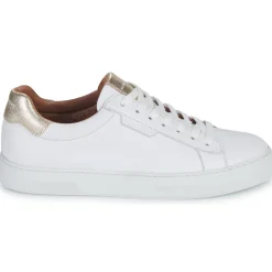 Schmoove - SPARK CLAY