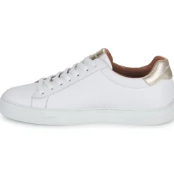 Schmoove - SPARK CLAY