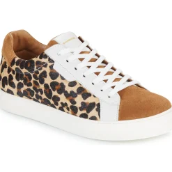 Schmoove - SPARK CLAY W