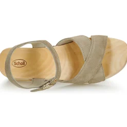 Scholl - PESCURA CATE