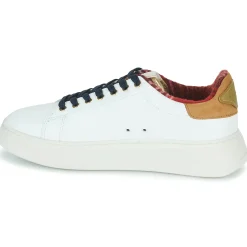 Serafini - J. CONNORS