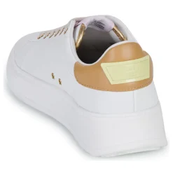 Serafini - J.CONNORS