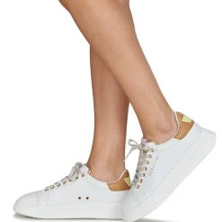 Serafini - J.CONNORS