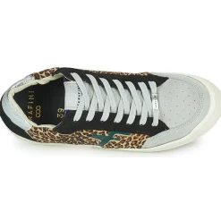 Serafini - SAN DIEGO