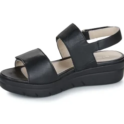 Stonefly - AQUA III 12