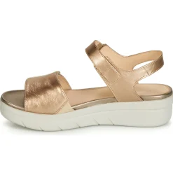 Stonefly - AQUA III 2 LAMINATED