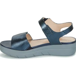 Stonefly - AQUA III 2 LAMINATED