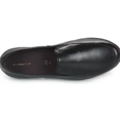 Stonefly - PASEO IV 1