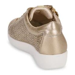 Stonefly - PASEO IV 29 LAMINATED LTH