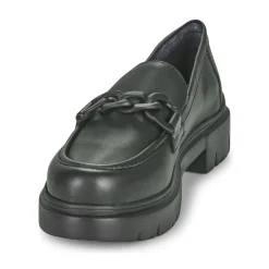 Stonefly - PHOEBE 17