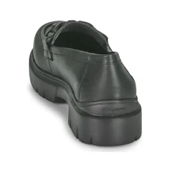 Stonefly - PHOEBE 17