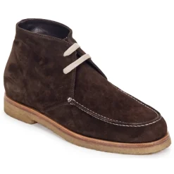 Swamp - POLACCHINO SU