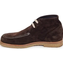 Swamp - POLACCHINO SU