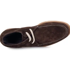 Swamp - POLACCHINO SU