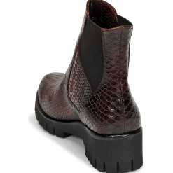 Sweet Lemon - DAYLIN