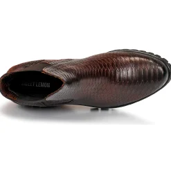 Sweet Lemon - DAYLIN