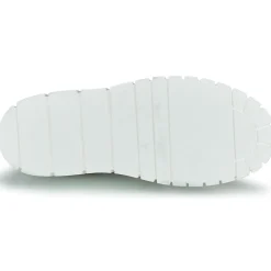 Sweet Lemon - PLANTO