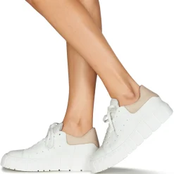 Sweet Lemon - PLANTO