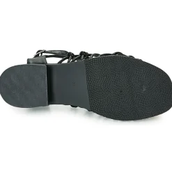 The Divine Factory - LS1793H