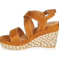 The Divine Factory - QL4619