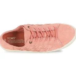 Toms - LENOX