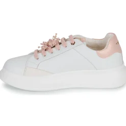 Tosca Blu - BELLATRIX