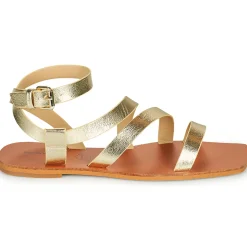 Vanessa Wu - SD2364OR