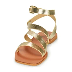 Vanessa Wu - SD2364OR